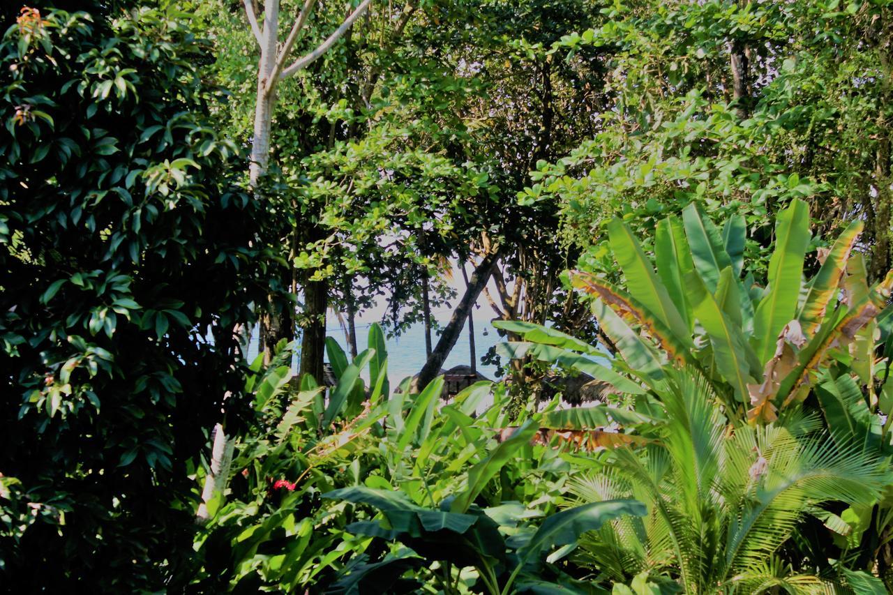 Casa Natural Puerto Viejo Hotel Puerto Viejo de Talamanca Ngoại thất bức ảnh